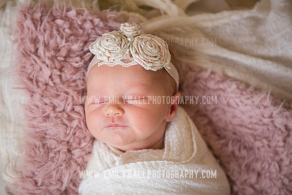 Emily Hall Photography - Newborn Portraits-3917