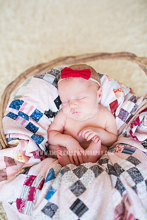 Emily Hall Photography - Newborn Portraits-3957