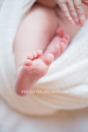 Emily Hall Photography - Newborn Portraits-4062
