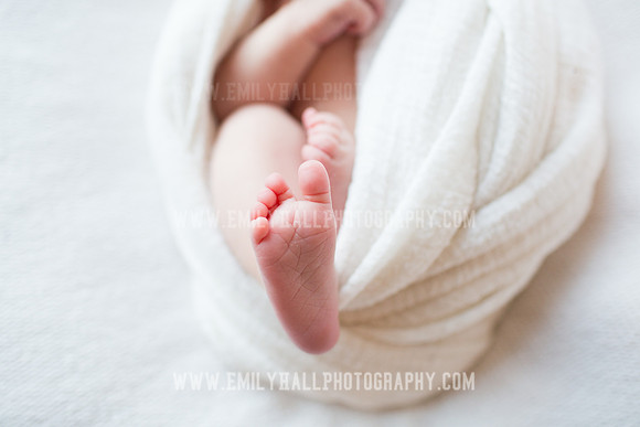 Emily Hall Photography - Newborn Portraits-4053