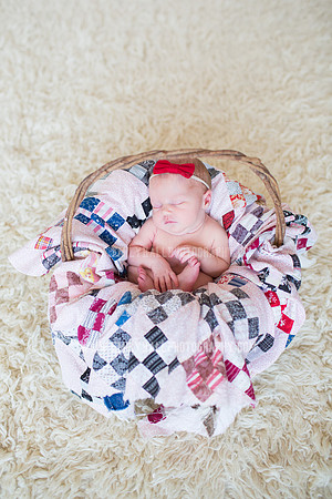 Emily Hall Photography - Newborn Portraits-3960