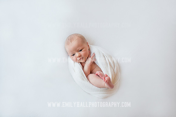 Emily Hall Photography - Newborn Portraits-4049