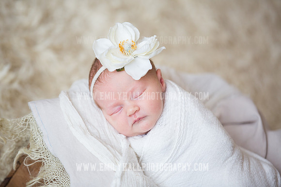 Emily Hall Photography - Newborn Portraits-3903
