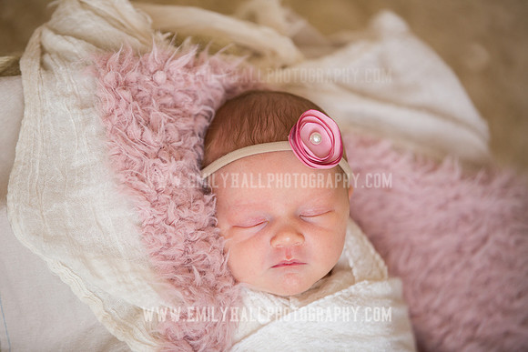 Emily Hall Photography - Newborn Portraits-3926