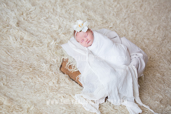 Emily Hall Photography - Newborn Portraits-3904