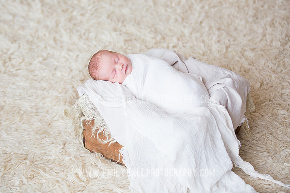 Emily Hall Photography - Newborn Portraits-3891