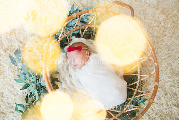 Emily Hall Photography - Newborn Portraits-3938