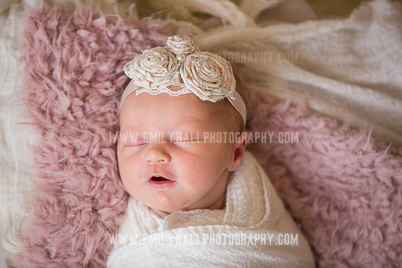 Emily Hall Photography - Newborn Portraits-3919