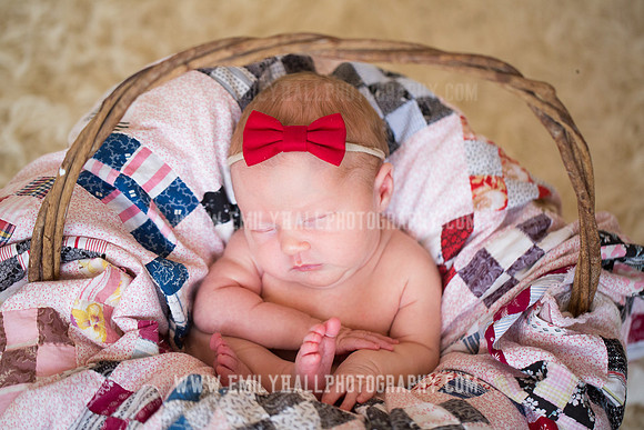 Emily Hall Photography - Newborn Portraits-3979