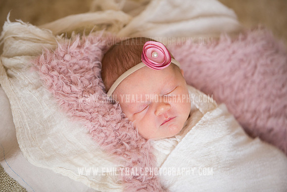 Emily Hall Photography - Newborn Portraits-3925