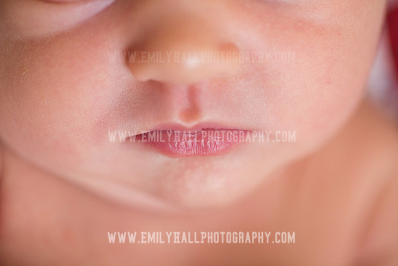 Emily Hall Photography - Newborn Portraits-3969