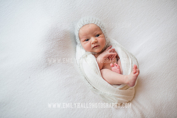 Emily Hall Photography - Newborn Portraits-4036