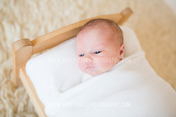Emily Hall Photography - Newborn Portraits-4000