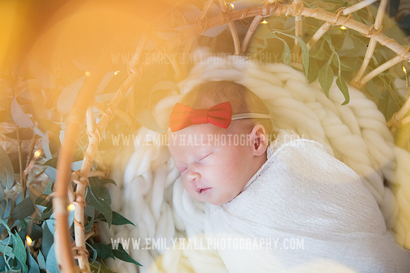 Emily Hall Photography - Newborn Portraits-3937