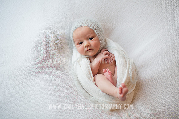 Emily Hall Photography - Newborn Portraits-4039