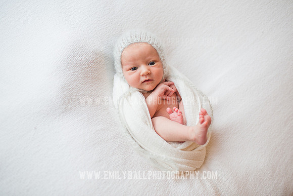 Emily Hall Photography - Newborn Portraits-4033