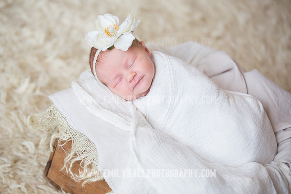 Emily Hall Photography - Newborn Portraits-3907