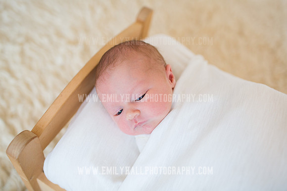Emily Hall Photography - Newborn Portraits-4002
