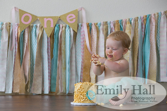 Emily Hall Photography - Charlotte - 1-3449