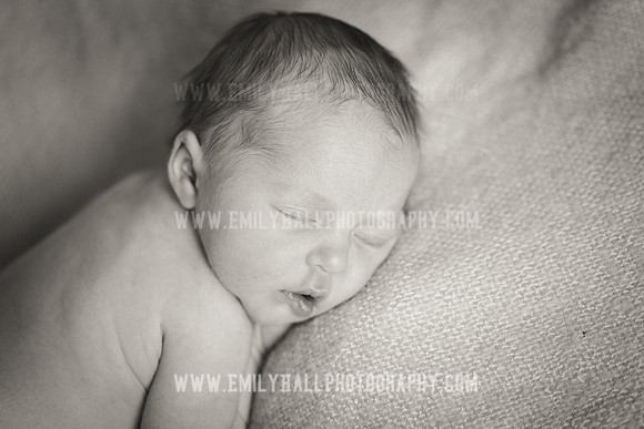Emily Hall Photography - Willow-4941-2