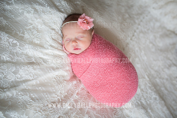 Emily Hall Photography - Willow-4797