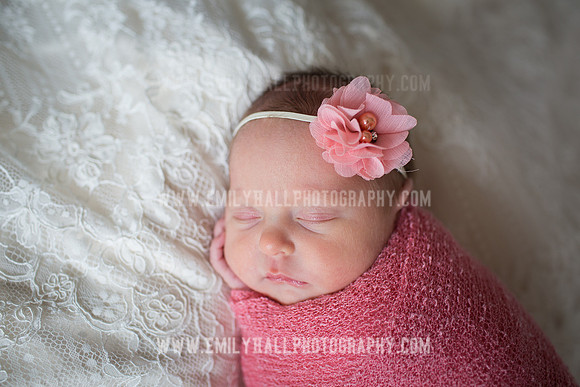 Emily Hall Photography - Willow-4803
