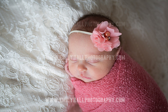 Emily Hall Photography - Willow-4805