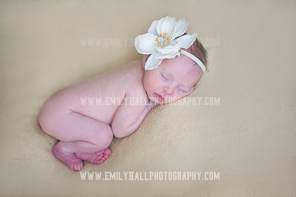Emily Hall Photography - Willow-4959