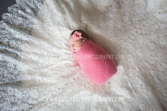 Emily Hall Photography - Willow-4788