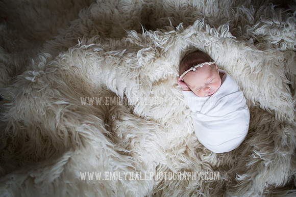 Emily Hall Photography - Willow-4819