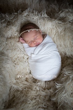 Emily Hall Photography - Willow-4837