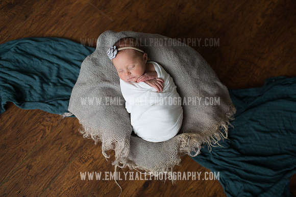 Emily Hall Photography - Willow-4866