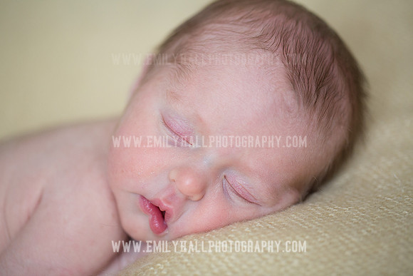 Emily Hall Photography - Willow-4945