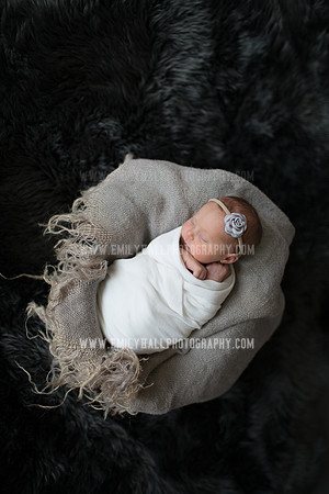 Emily Hall Photography - Willow-4883