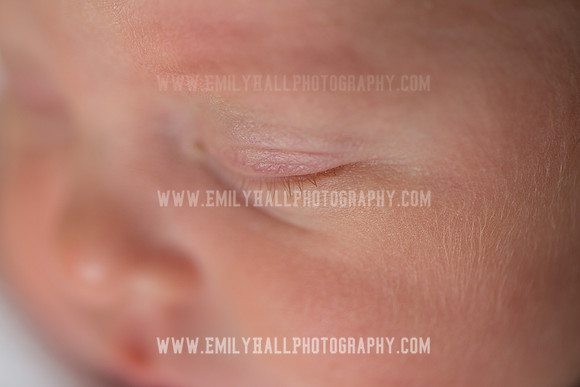 Emily Hall Photography - Willow-4858
