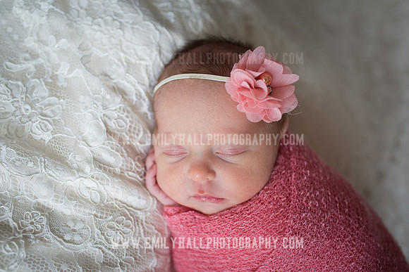 Emily Hall Photography - Willow-4808
