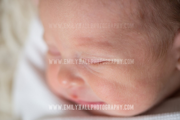 Emily Hall Photography - Willow-4852