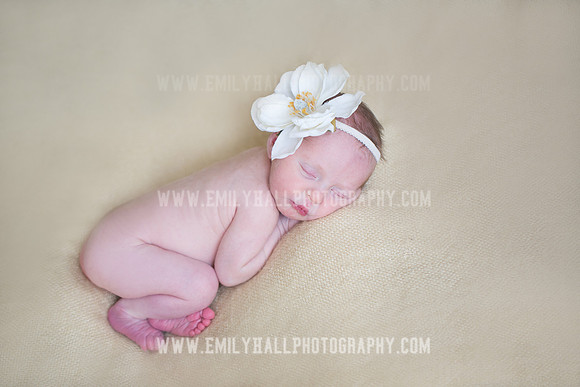 Emily Hall Photography - Willow-4956