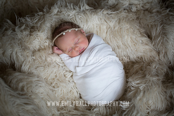 Emily Hall Photography - Willow-4835