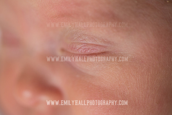 Emily Hall Photography - Willow-4854