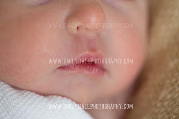 Emily Hall Photography - Willow-4928