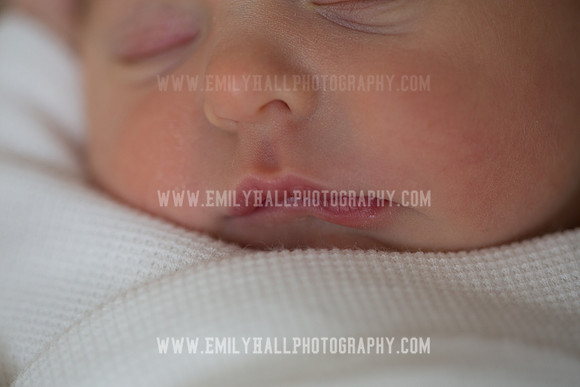 Emily Hall Photography - Willow-4846