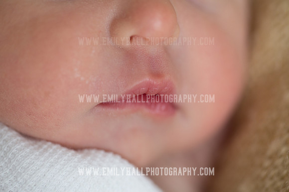 Emily Hall Photography - Willow-4925