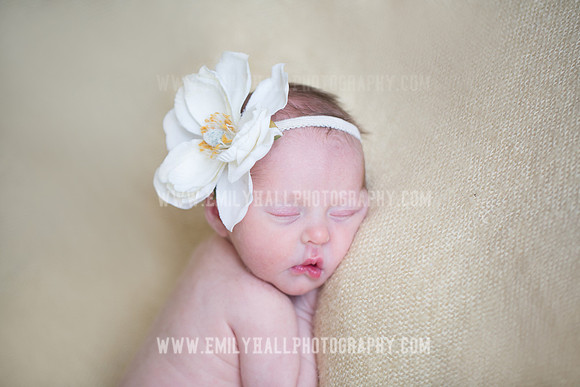 Emily Hall Photography - Willow-4972