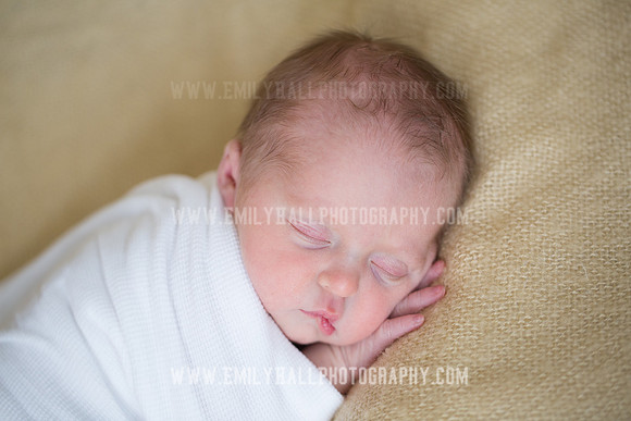 Emily Hall Photography - Willow-4921