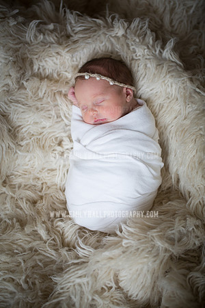Emily Hall Photography - Willow-4841