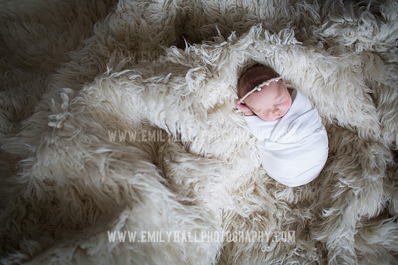 Emily Hall Photography - Willow-4817