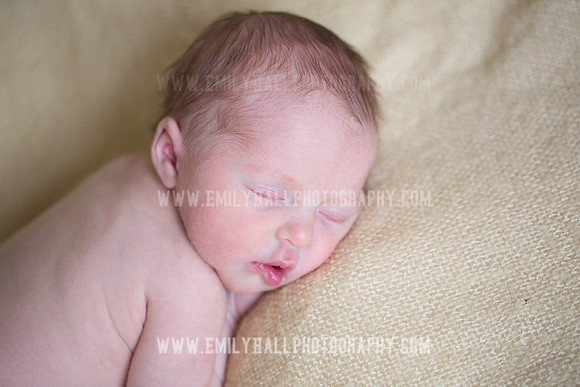 Emily Hall Photography - Willow-4941