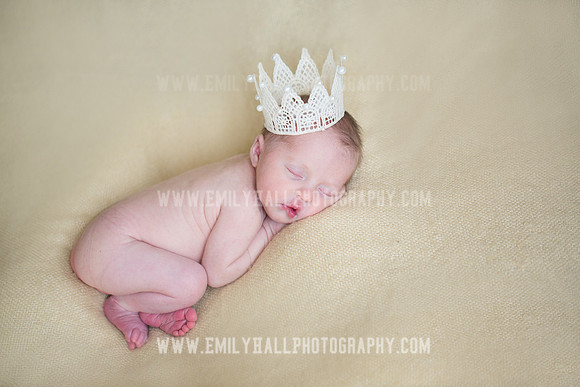 Emily Hall Photography - Willow-4976
