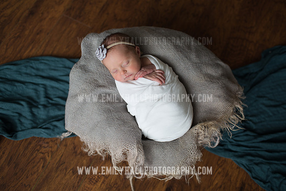 Emily Hall Photography - Willow-4865